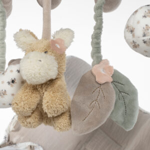 ספירלת פעילות חמור BOTTON פרחים