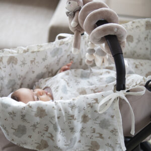 ספירלת פעילות צבי NARA