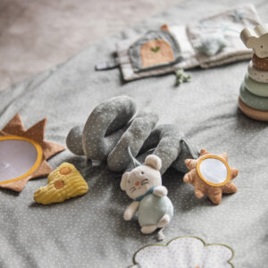 ספירלת פעילות POPPY