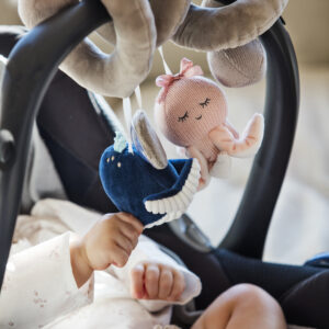 ספירלת פעילות ניקו ולולה